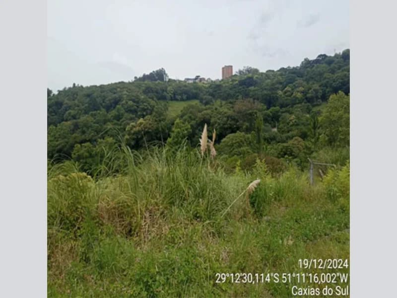 Foto 20 de 20: Terreno em leilão em Caxias Do Sul - RS — Terreno - Caxias do Sul - RS