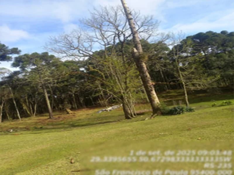 Foto 4 de 4: Terreno em leilão em São Francisco De Paula - RS — Terreno - São Francisco de Paula - RS