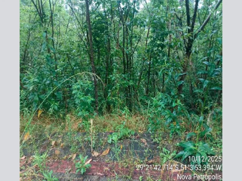 Foto 6 de 10: Terreno em leilão em Nova Petrópolis - RS — Terreno - Nova Petrópolis - RS