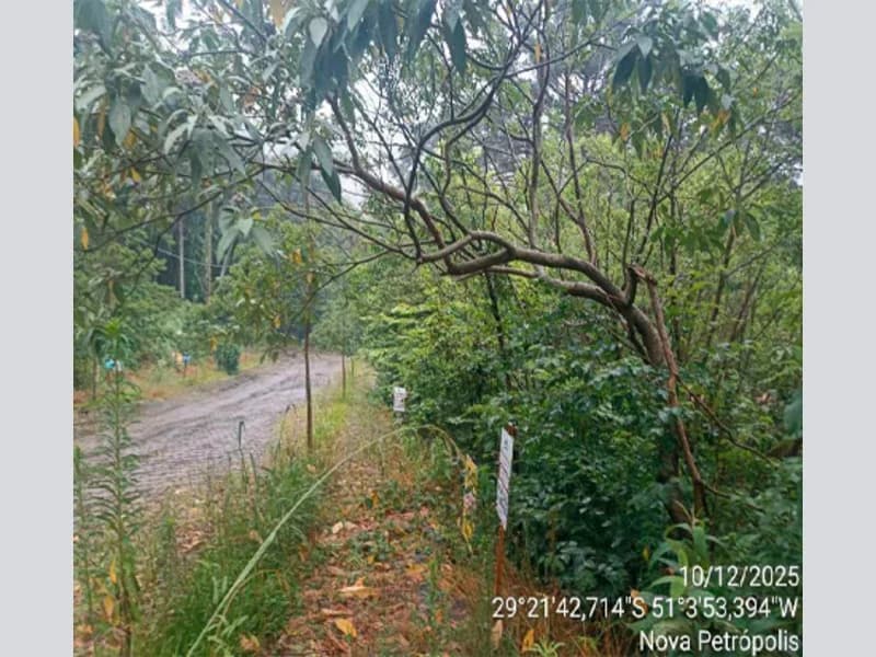 Foto 7 de 10: Terreno em leilão em Nova Petrópolis - RS — Terreno - Nova Petrópolis - RS