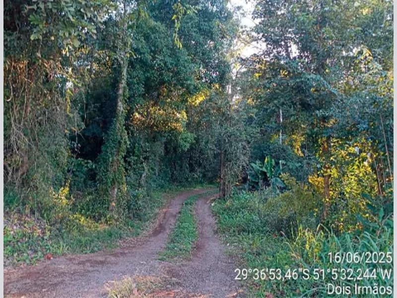 Foto 5 de 9: Casa em leilão em Dois Irmãos - RS, bairro Travessão — Casa - Dois Irmãos - RS