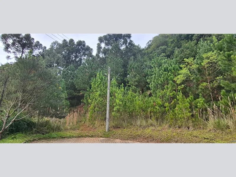 Foto 1 de 11: Terreno em leilão em Nova Petrópolis - RS, bairro Centro — Terreno - Nova Petrópolis - RS