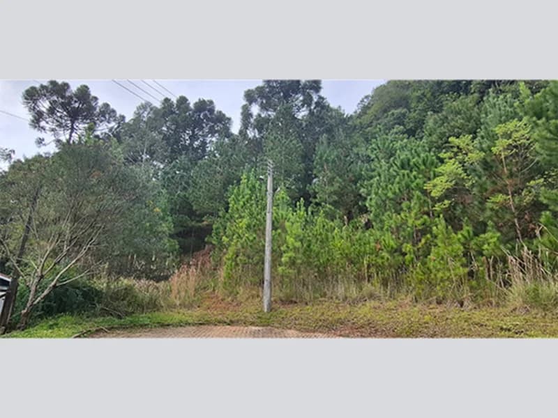 Foto 4 de 11: Terreno em leilão em Nova Petrópolis - RS, bairro Centro — Terreno - Nova Petrópolis - RS