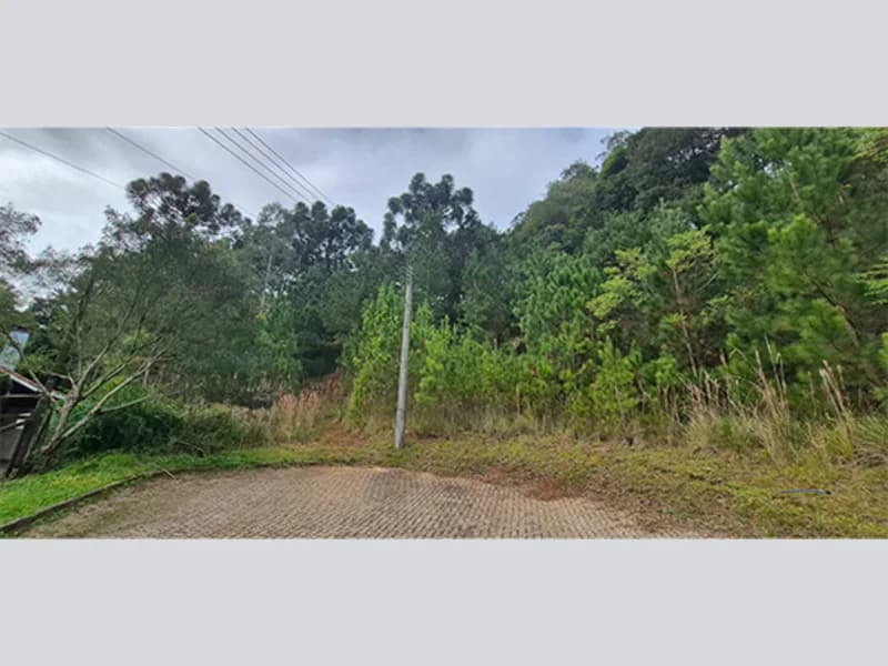 Foto 2 de 11: Terreno em leilão em Nova Petrópolis - RS, bairro Centro — Terreno - Nova Petrópolis - RS