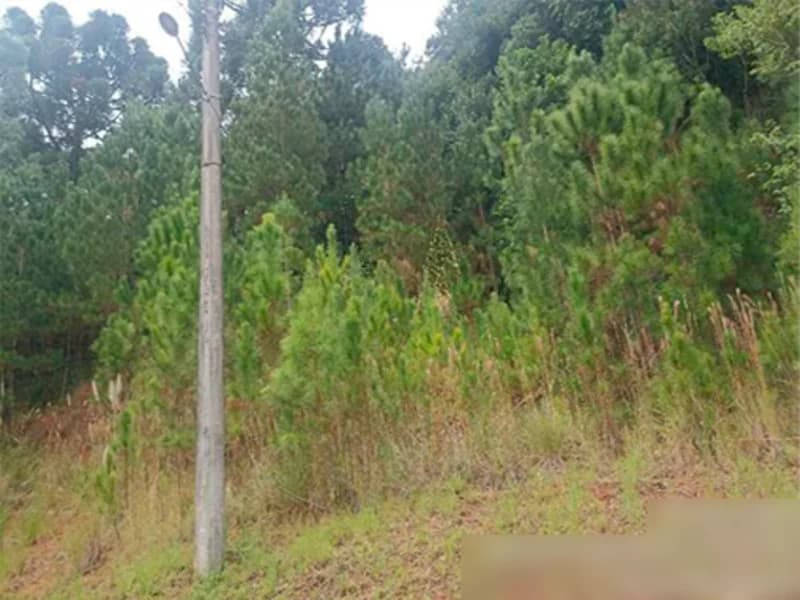 Foto 6 de 11: Terreno em leilão em Nova Petrópolis - RS, bairro Centro — Terreno - Nova Petrópolis - RS