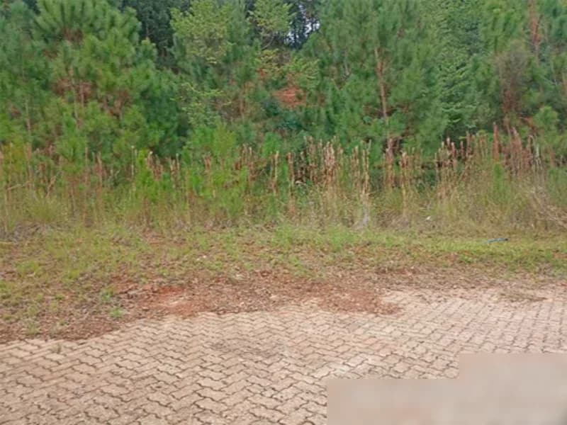 Foto 11 de 11: Terreno em leilão em Nova Petrópolis - RS, bairro Centro — Terreno - Nova Petrópolis - RS