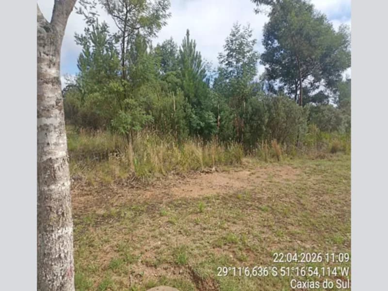 Foto 7 de 11: Terreno em leilão em Farroupilha - RS, bairro Linha Palmeiro — Terreno - Farroupilha - RS