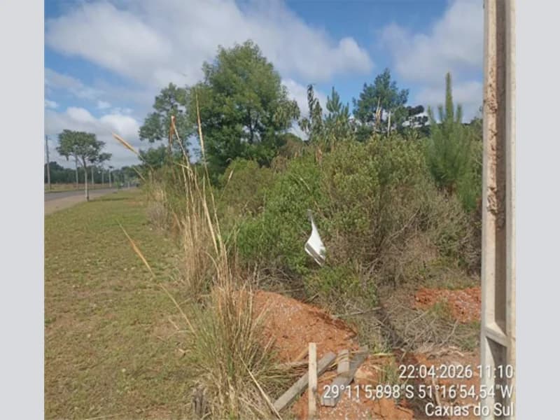 Foto 10 de 11: Terreno em leilão em Farroupilha - RS, bairro Linha Palmeiro — Terreno - Farroupilha - RS