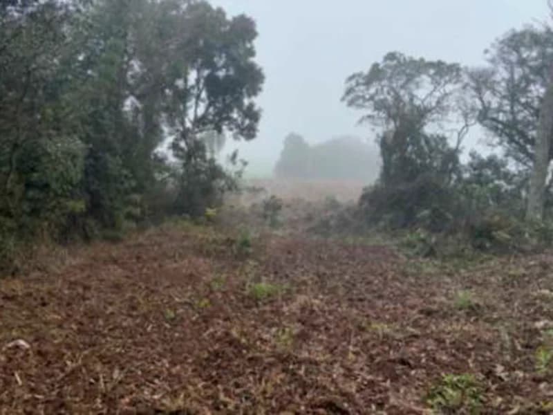 Foto 9 de 12: Terreno em leilão em Paula Freitas - PR — Terreno - Paula Freitas - PR
