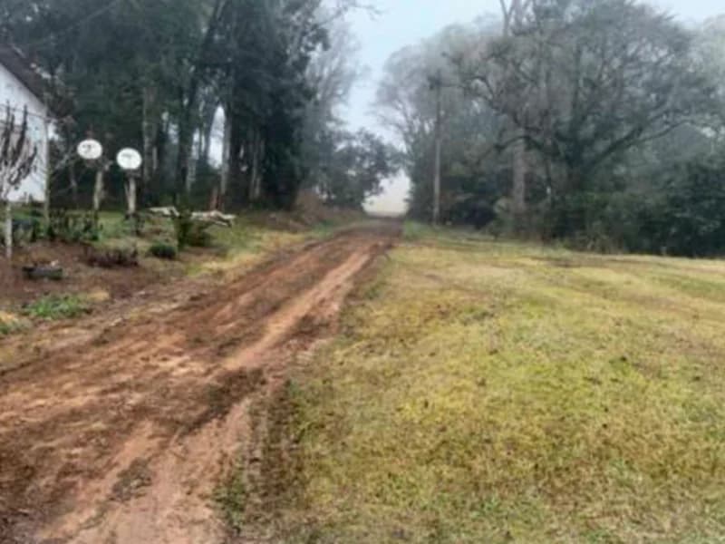 Foto 12 de 12: Terreno em leilão em Paula Freitas - PR — Terreno - Paula Freitas - PR