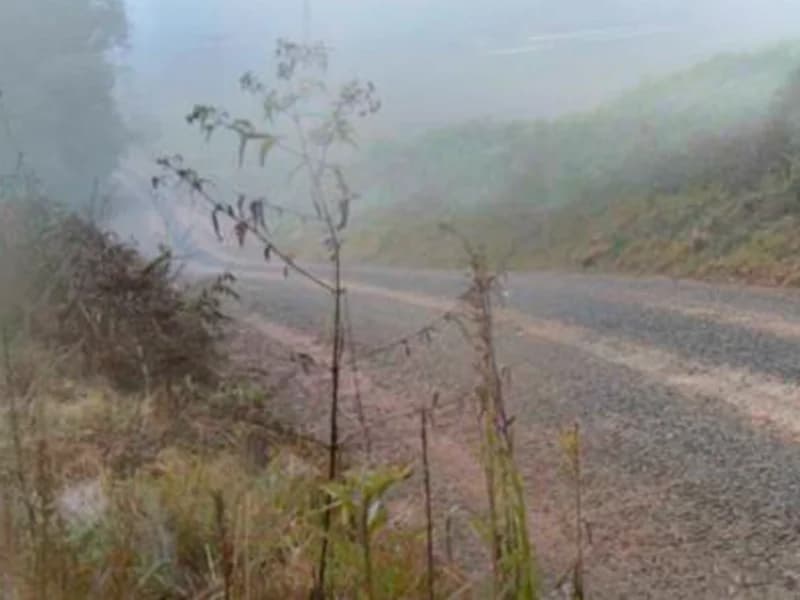 Foto 6 de 12: Terreno em leilão em Paula Freitas - PR — Terreno - Paula Freitas - PR