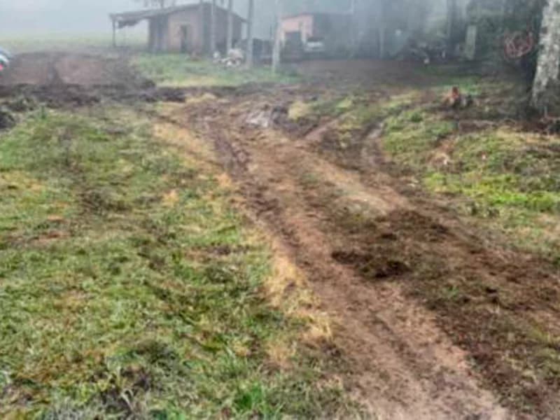 Foto 4 de 12: Terreno em leilão em Paula Freitas - PR — Terreno - Paula Freitas - PR