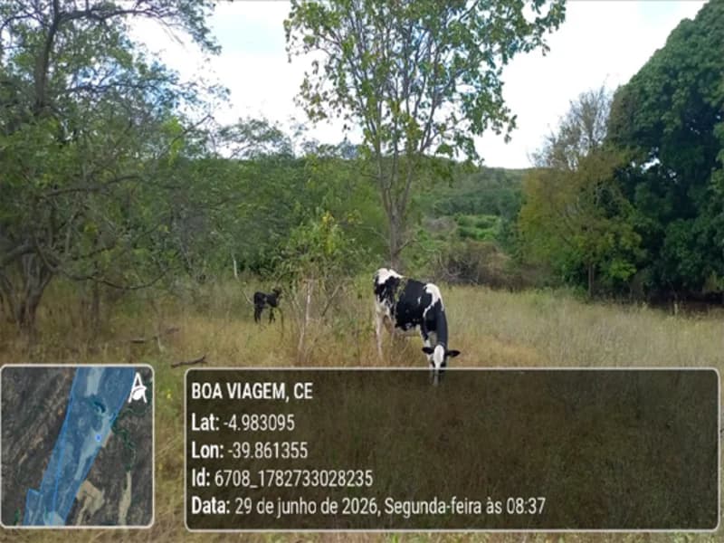 Foto 5 de 22: Terreno em leilão em Boa Viagem - CE — Terreno - Boa Viagem - CE