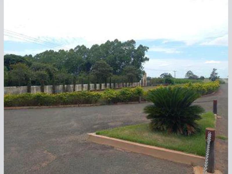 Foto 3 de 7: Area Rural em leilão em Cassilândia - MS — Terrenos - Cassilândia - MS