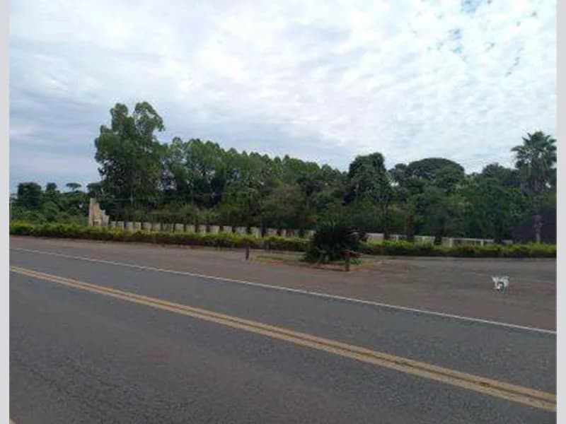 Foto 6 de 7: Area Rural em leilão em Cassilândia - MS — Terrenos - Cassilândia - MS
