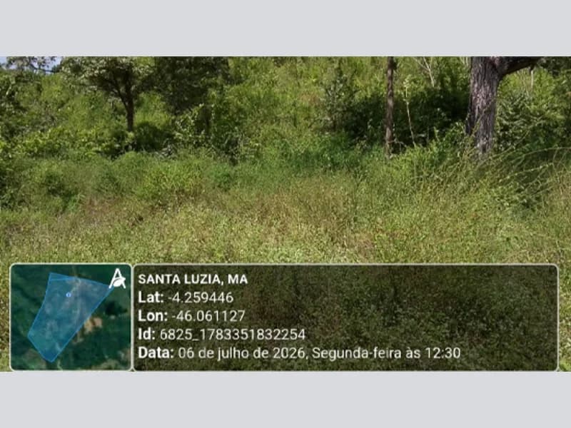 Foto 4 de 14: Terreno em leilão em Santa Luzia - MA — Terreno - Santa Luzia - MA