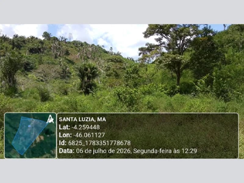 Foto 7 de 14: Terreno em leilão em Santa Luzia - MA — Terreno - Santa Luzia - MA