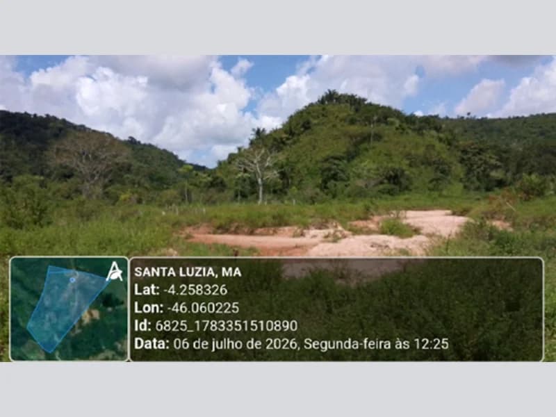 Foto 10 de 14: Terreno em leilão em Santa Luzia - MA — Terreno - Santa Luzia - MA