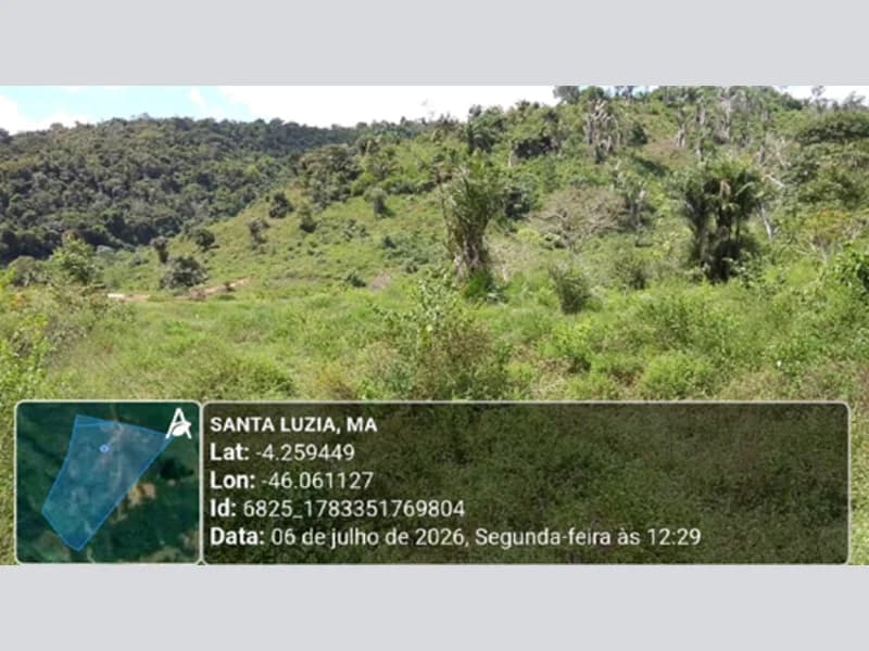 Foto 14 de 14: Terreno em leilão em Santa Luzia - MA — Terreno - Santa Luzia - MA