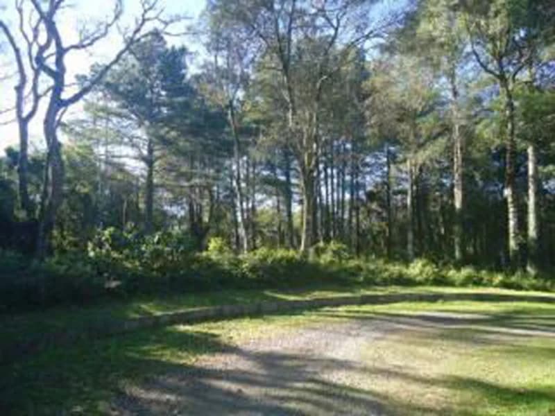 Foto 9 de 10: Terreno em leilão em Gramado - RS — Terreno - Gramado - RS
