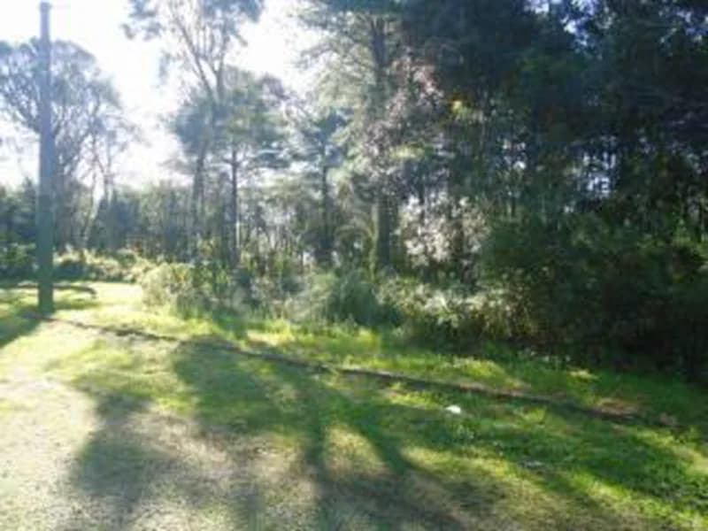 Foto 3 de 10: Terreno em leilão em Gramado - RS — Terreno - Gramado - RS