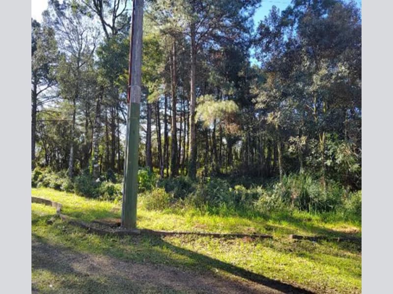 Foto 2 de 10: Terreno em leilão em Gramado - RS — Terreno - Gramado - RS