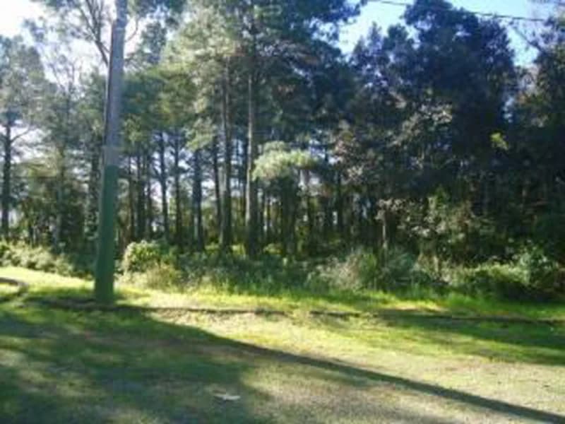 Foto 5 de 10: Terreno em leilão em Gramado - RS — Terreno - Gramado - RS