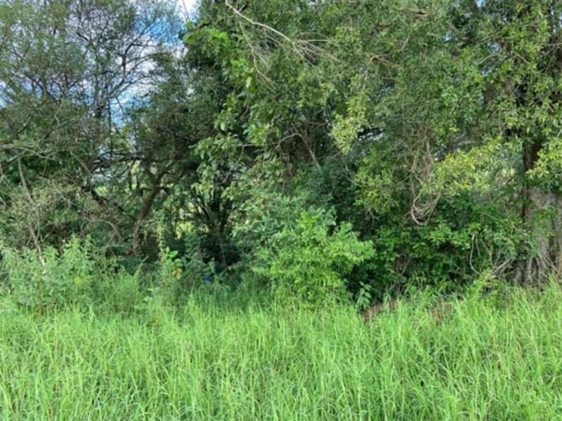Foto 2 de 19: Terreno em leilão em São Paulo Das Missões - RS — Terreno - Campina Das Missões - RS