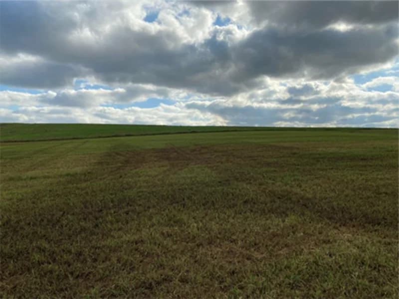 Foto 10 de 19: Terreno em leilão em São Paulo Das Missões - RS — Terreno - Campina Das Missões - RS