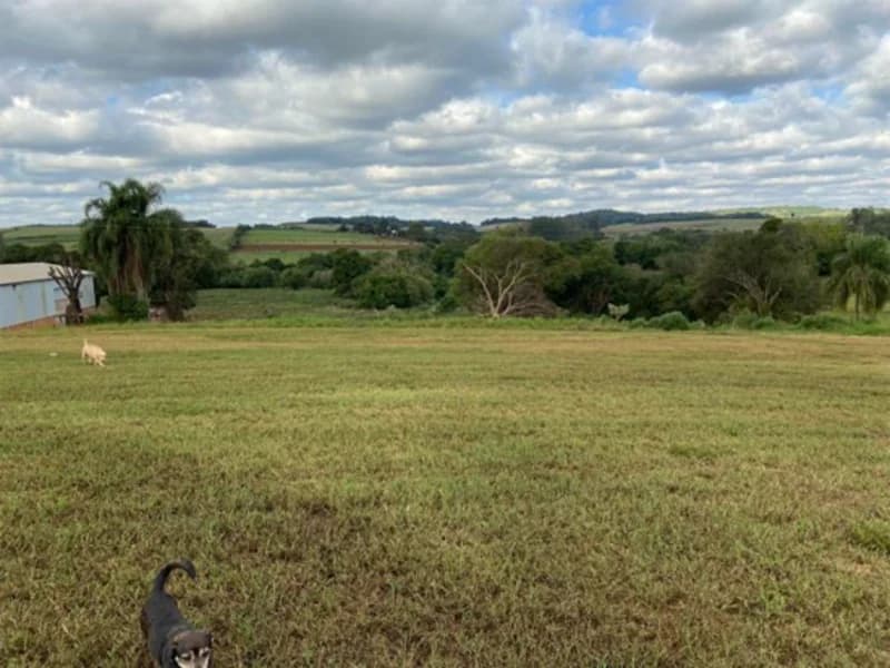 Foto 12 de 19: Terreno em leilão em São Paulo Das Missões - RS — Terreno - Campina Das Missões - RS
