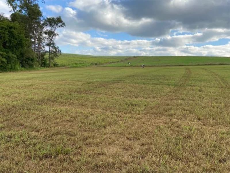 Foto 17 de 19: Terreno em leilão em São Paulo Das Missões - RS — Terreno - Campina Das Missões - RS