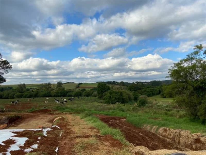 Foto 5 de 19: Terreno em leilão em São Paulo Das Missões - RS — Terreno - Campina Das Missões - RS