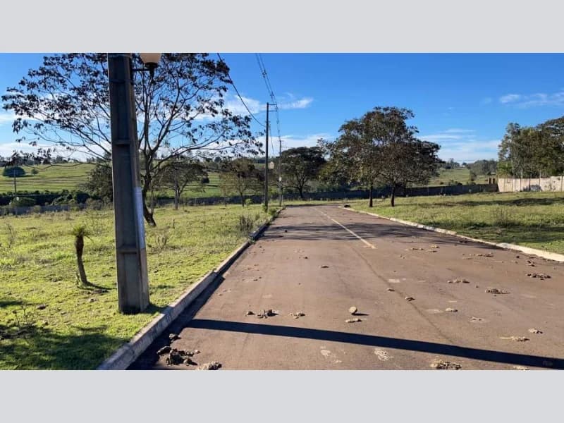 Foto 12 de 27: Terreno em leilão em Pérola - PR — Loteamento - Pérola - PR