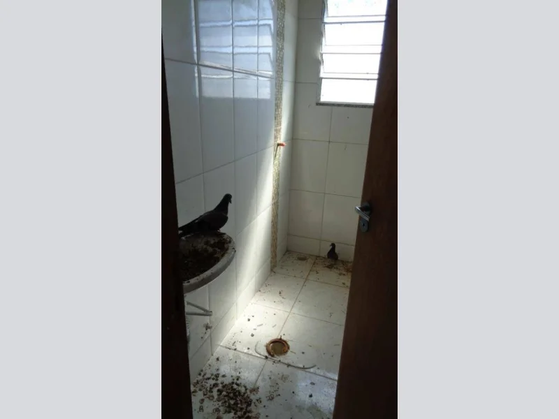Foto 7 de 26: Apartamento em leilão em Jarinu - SP, bairro Vila Nova Trieste — Apartamento - Jarinu - SP