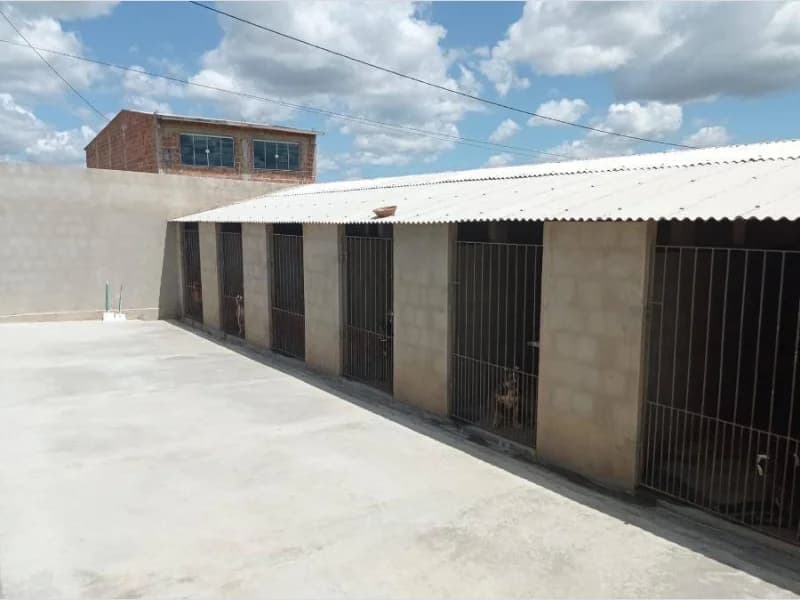 Foto 37 de 55: Casa em leilão em Tacaimbó - PE, bairro Nova Tacaimbó — Casa - Tacaimbó - PE