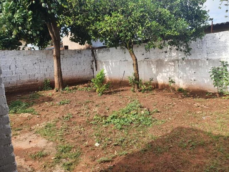 Foto 7 de 26: Casa em leilão em Lins - SP — Casa - Lins - SP