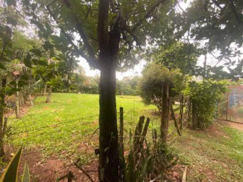 Foto 7 de 27: Casa em leilão em Promissão - SP — Casa - Promissão - SP