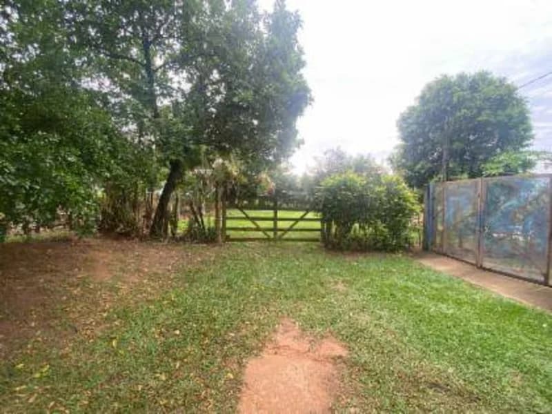 Foto 10 de 27: Casa em leilão em Promissão - SP — Casa - Promissão - SP