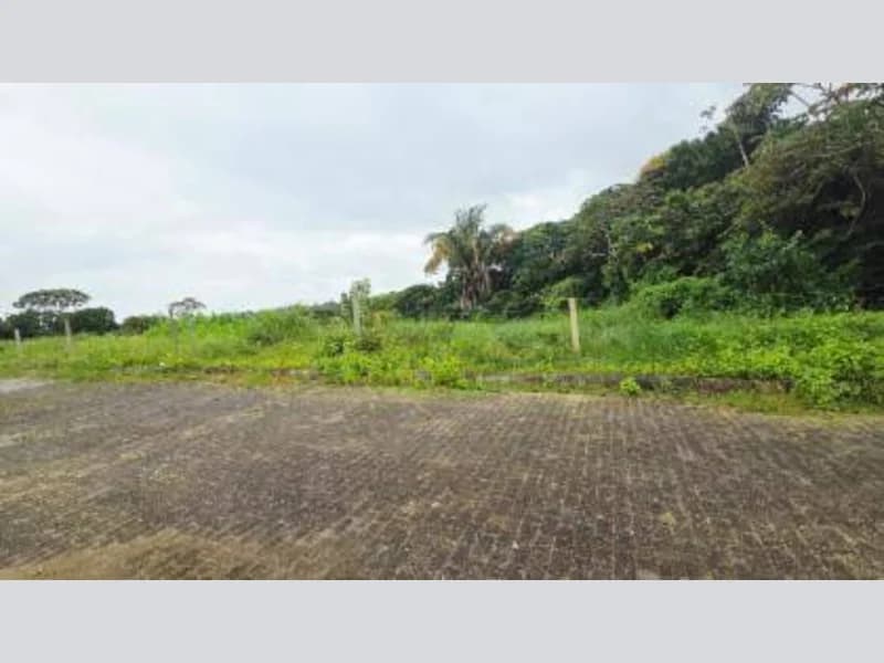 Foto 2 de 7: Terreno em leilão em Coqueiro Seco - AL — Loteamento - Coqueiro Seco - AL