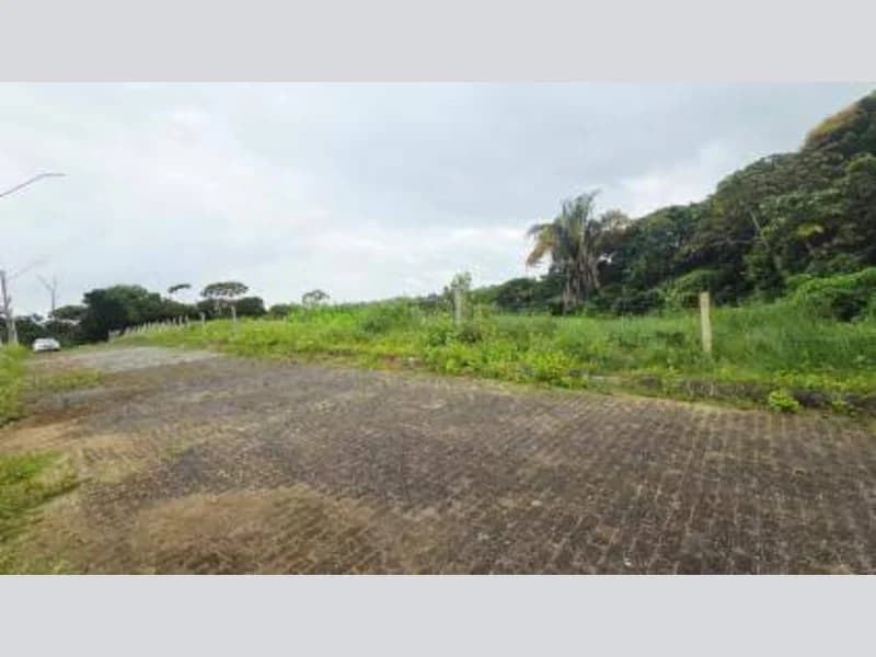 Foto 7 de 7: Terreno em leilão em Coqueiro Seco - AL — Loteamento - Coqueiro Seco - AL