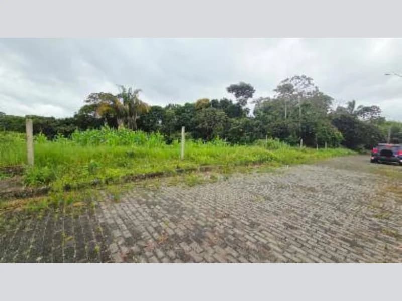 Foto 6 de 7: Terreno em leilão em Coqueiro Seco - AL — Loteamento - Coqueiro Seco - AL