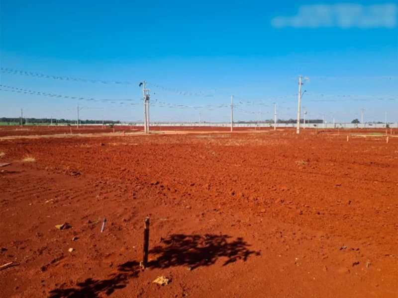 Foto 4 de 20: Terreno em leilão em Cândido Mota - SP, bairro Terras de Vitória — Terreno - Cândido Mota - SP