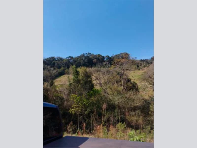 Foto 6 de 13: Area Rural em leilão em Saltinho - SC — Sítio - Saltinho - SC