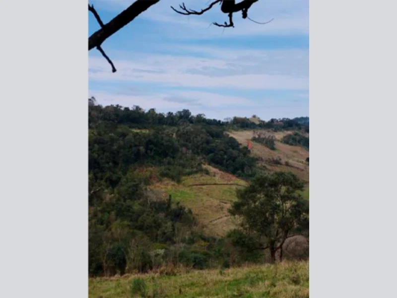 Foto 1 de 13: Area Rural em leilão em Saltinho - SC — Sítio - Saltinho - SC