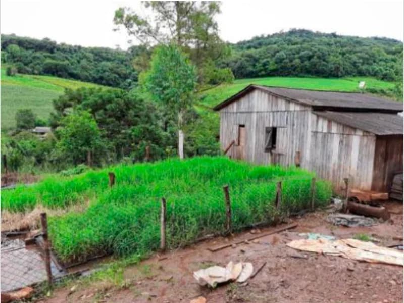 Foto 7 de 13: Area Rural em leilão em Saltinho - SC — Sítio - Saltinho - SC