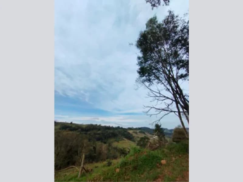 Foto 2 de 13: Area Rural em leilão em Saltinho - SC — Sítio - Saltinho - SC