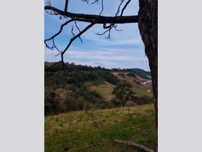 Foto 13 de 13: Area Rural em leilão em Saltinho - SC — Sítio - Saltinho - SC
