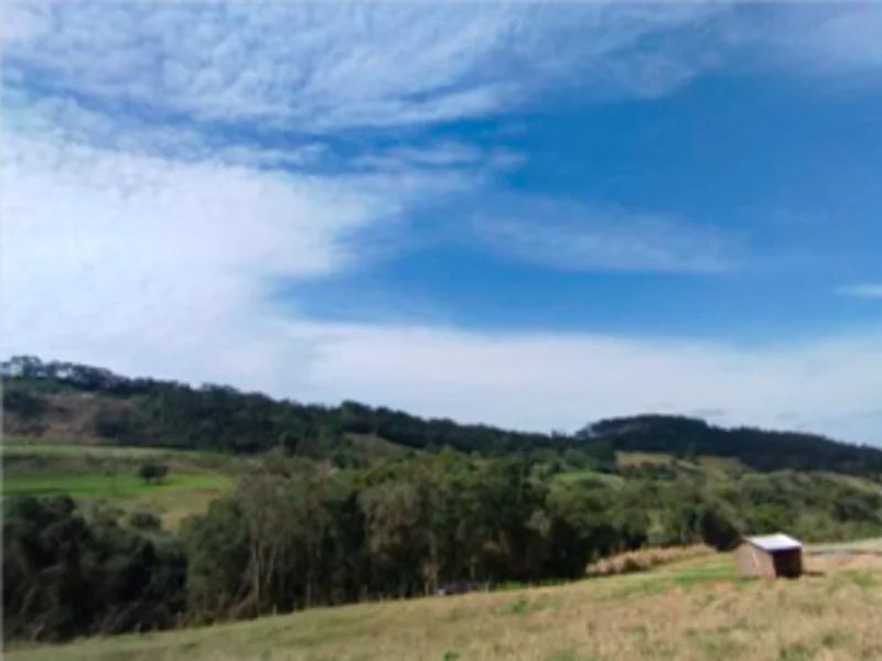 Foto 11 de 13: Area Rural em leilão em Saltinho - SC — Sítio - Saltinho - SC