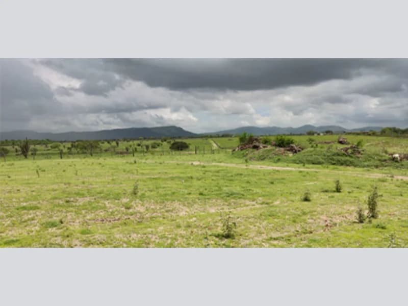 Foto 5 de 9: Terreno em leilão em Itatim - BA — Terreno - Itatim - BA