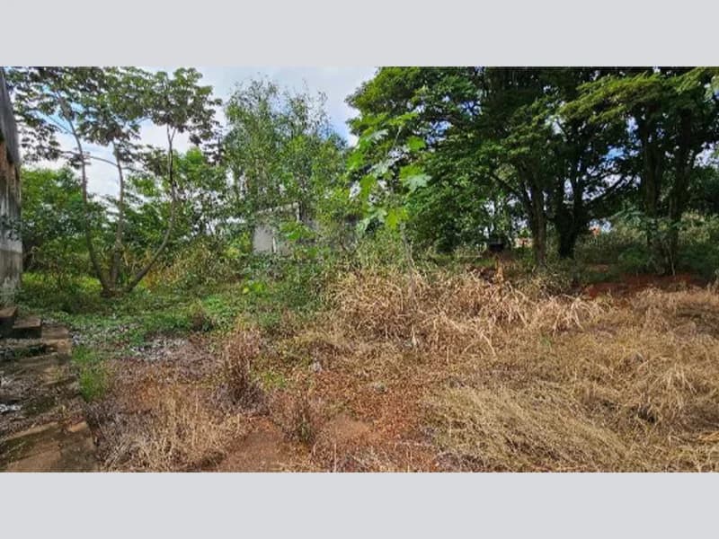 Foto 6 de 27: Terreno em leilão em Cidade Gaúcha - PR — Terreno - Cidade Gaúcha - PR